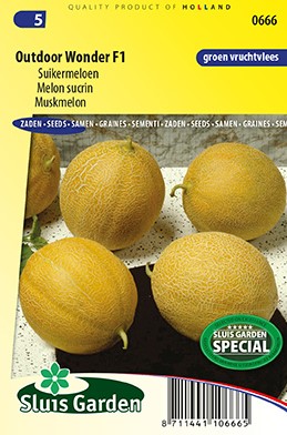 Zuckermelone Outdoor Wonder F1 (Cucurmis melo)