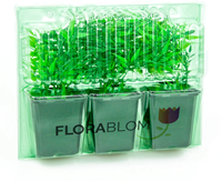 Blister Florablom