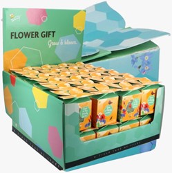 Buzzy Flower Gift (Display 48x) Insecten bloemen mix