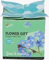 Buzzy flower gift (Display 48x) Vergeet me niet - Myosotis-3