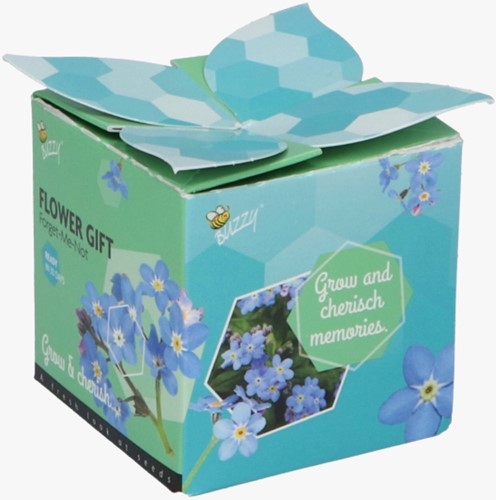 Buzzy flower gift (Display 48x) Vergeet me niet - Myosotis-2