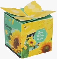 Buzzy Flower Gift Zonnebloem Helianthus (1 Doosje)-2