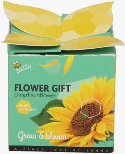 Buzzy Flower Gift Sonnenblumen - Helianthus (1 Schachtel)