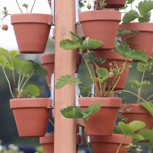 Blumen Topf Hanger