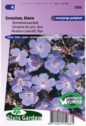Gartengeranien blau - Geranium