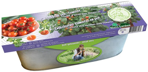 Zinkwanne Tomate Siderno F1