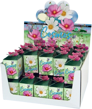 Ecogeschenke Cosmos Mix 40 Stück in Versandkiste