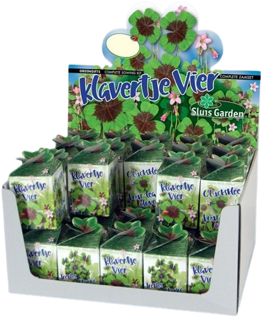 Ecogeschenke Vierblättrigen Kleefarn 40 Stück in Versandkiste