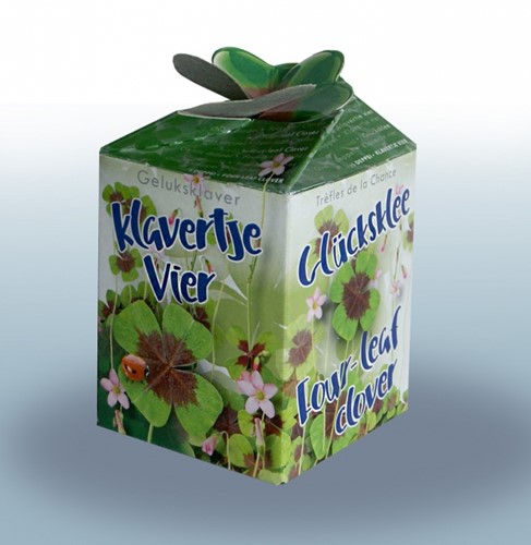 Vierblättrigen Kleefarn Ecogeschenke