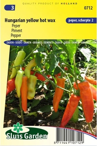 Pfeffer Hungarian Hot Wax - Capsicum annuum