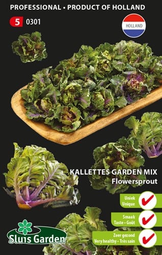 Kalettes, Flowersprout
