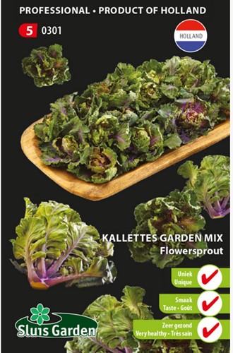 Kalettes garden mix - Flowersprout