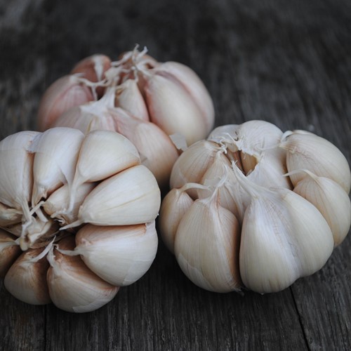 Knoblauch