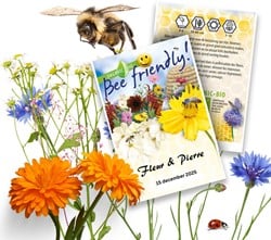 Personalisierte Werbegeschenke Samen Pakete Schmetterlings Blumenwiese  500 stück