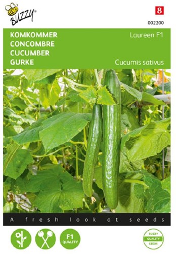 Gurke Laureen F1 (ehemals Euphoria) - Cucumis sativus