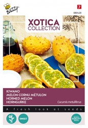 Kiwano / Horngurke - Xotica Collection