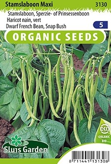 Buschbohnen Maxi EKO - Phaseolus Vulgaris