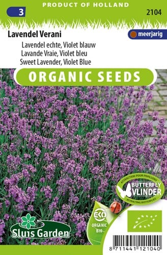 Lavendel Echter, Violett blau Verani EKO