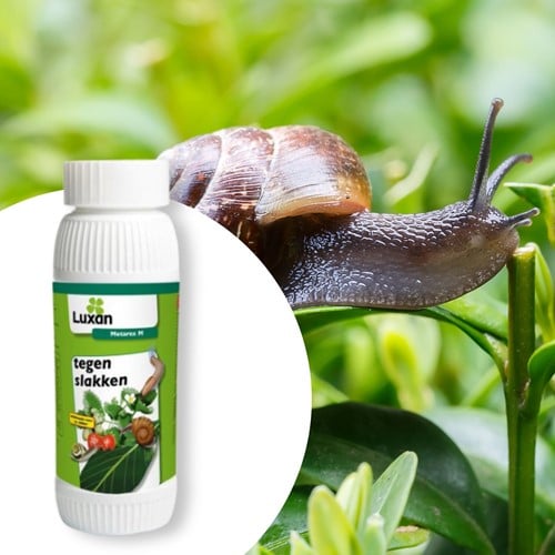 Metarex M Schnecken- und Schneckenkorn 250 g. - Luxan
