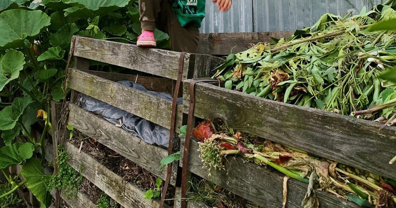 Gartenarbeiten im Februar mit Modeste Herwig – schneiden, pflegen und den Frühling vorbereiten