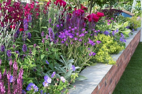 Garten Border Langblühendes Beet Modeste Herwig