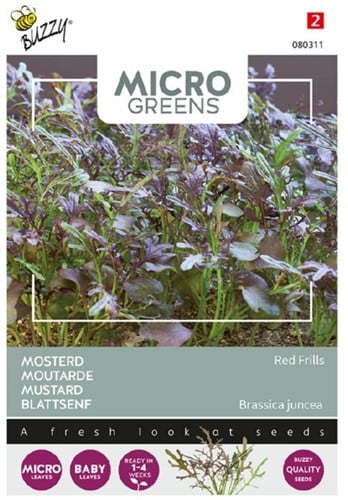 Blattsenf Red Frills - Buzzy Microgreens