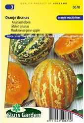 Melone Orange Ananas