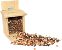 Eichhörnchen Futterhaus - Vereinigung Natuurmonumenten Niederlande-2
