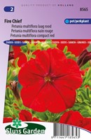 Petunia Multiflora Fire Chief Rot Petunie