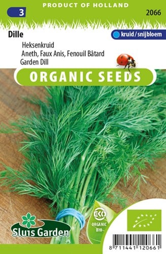 Dill Bouquet (Anethum graveolens) EKO