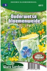 Altmodische Blumenwiese – Heimische Wildblumenmischung
