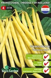 Stammbrechbohne Orinoco wax - Phaseolus