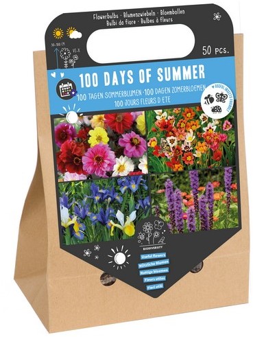100 tagen Sommerblumen - Blumenzwiebeln