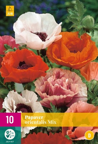 Papaver orientalis Mix GartenMohn kaufen? Einfach online bestellen