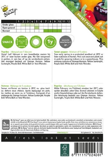 Paprika 5 farbenmischung - Capsicum annuum-2