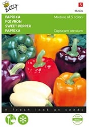 Paprika 5 farbenmischung - Capsicum annuum