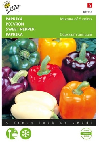 Paprika 5 farbenmischung - Capsicum annuum