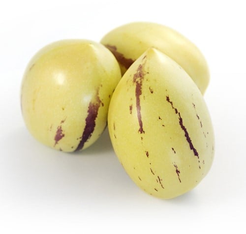 Pepino, Melonenbirne – Solanum muricatum