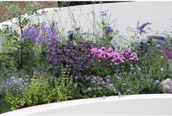 Garten Border Schmetterling- und Bienenbeet Modeste Herwig