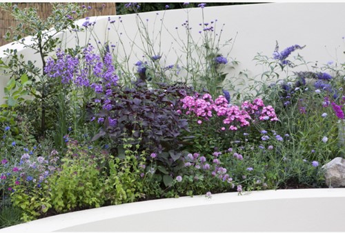 Garten Border Schmetterling- und Bienenbeet Modeste Herwig