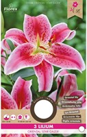 Lelie Star Gazer – Lilium orientale-2