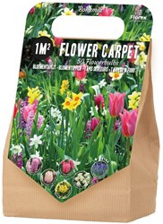 Blumenzwiebelpaket 1 m² Bohemia– 50 Blumenzwiebeln