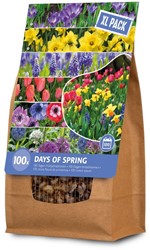 Blumenzwiebelpaket 100 Tage Frühjahrsblumen XL Pack