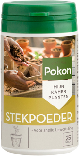 Stecklingspuder Pokon