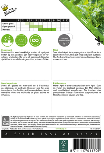 Pepermunt (Mentha x piperita) - Buzzy-2