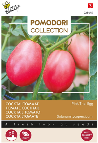 Cocktailtomate Uovo Roseo Pink Thai Egg - Pomodori Collection