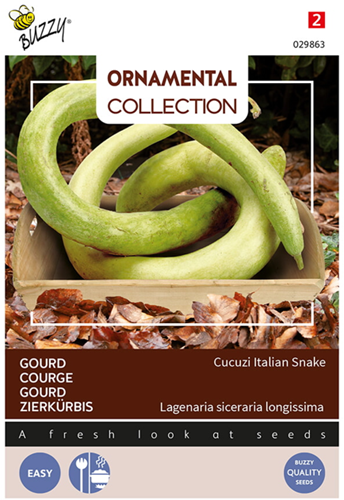 Zierkürbis Cucuzi Italian Snake - Ornamental Collection