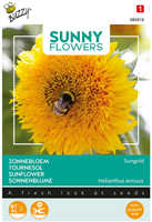 Lage Zonnebloem Sungold, dubbelbloemig - Sunny Flowers