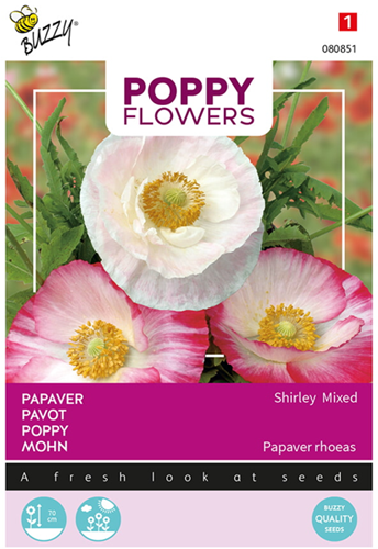 Klatsmohn Shirley - Poppy Flowers