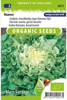 Andijvie Breedblad Nuance EKO - Cichorium endivia-2